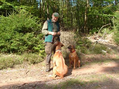 Günter Werner mit seinen Rhodesian Ridgebacks im Wald