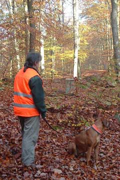 Gertrud Werner mit Rhodesian Ridgeback-Hündin Akili bei einer Drückjagd